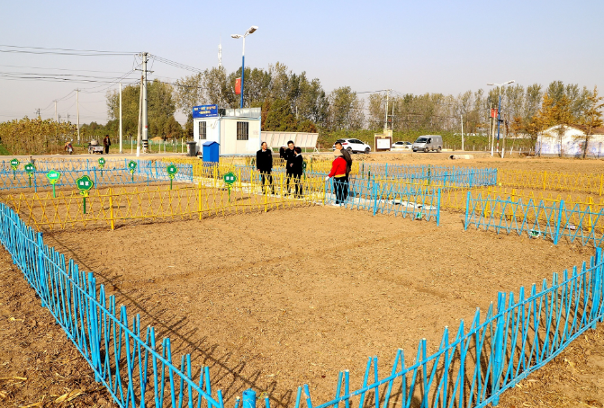 农场■徐州经开区：“一分良田”微农场助推实现“大梦想”|走向我们的小康生活