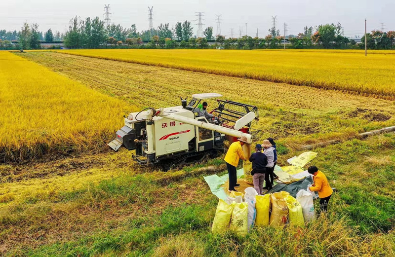 江苏徐州乡村振兴风帆劲八大举措硬核推进农村现代化