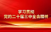 学习贯彻党的二十届三中全会精神