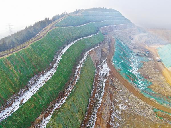 踩着雪后的泥泞爬到正在开采的杨山上,查看矿山生态修复中栽种的绿植